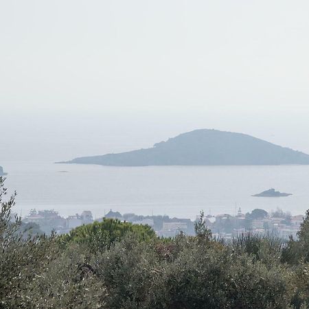 Armamento Villa Moni Evaggelistrias Exteriér fotografie
